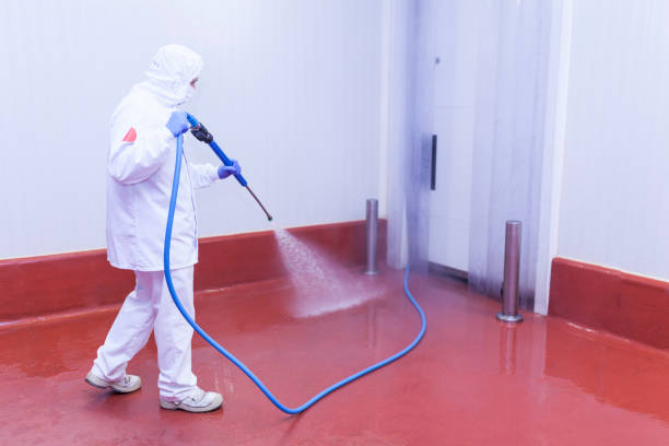 Reliable Ponderay, ID Pressure Washing Services Solutions